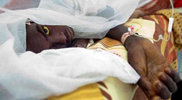 Yellow fever confirmed in Sissala East after 21 mysterious deaths