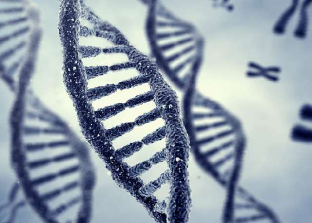 Blood Group & Genotype