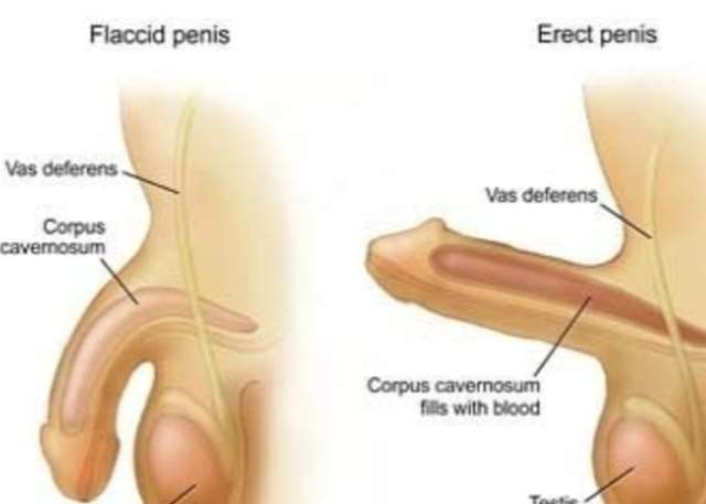 Can Erectile Dysfunction Be Cured Or Reversed