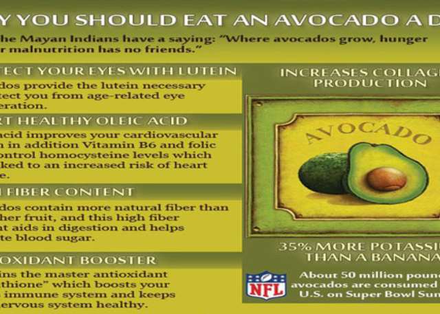 avocado glutathione content 15 Amazing Health Benefits of Eating Avocados