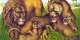 Cameroon’s sacred and royal animals: could literature and futures thinking help save them?