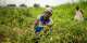Nviron Hive, Tree Aid to fund 200,000 tree regeneration initiative in Yendi