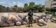Eastern Region: Police seize 1,600 parcels of suspected Indian hemp, foil GH¢100,000 bribery attempt