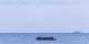 Two women die on migrant boat near France seeking to reach UK
