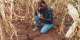 Extreme heat is a growing threat to health, jobs and food security in southern Africa – study looks for practical solutions