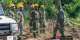 Images and videos of military clearing lands for Accra–Kumasi expressway project
