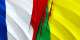 Why France Urged Its Citizens to Leave Mali: A Crisis Long in the Making