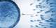 How Stress Affects Sperm: A Scientific