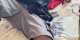 Sandema: Funeral clash leaves four injured, army recruit loses hand