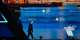 Putin’s paranoia: AI espionage pushes Kremlin to reinforce security measures