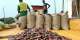 COCOBOD fixes cocoa price at GHS2,587 perbag for 2026lightcropseason