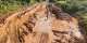 Residents appeal for rehabilitation of Okuma-Debume road in Krachi West Municipality