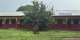 Bat invasion blocks Kamalo D/A JHS from using new classroom block