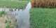 V/R: Flood waters submerge acres of farmlandin Anloga