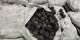 Three charged in Australia over alleged attempt to import methamphetamine hidden in charcoal shipment from Ghana