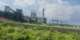Gallant Cadres demand immediate operationalisation of Komenda Sugar Factory