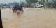 20-month-old toddler dead, three injured over rain induced mudslide in Cape Coast