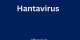 We’re closing in on ending Hantavirus outbreak — WHO