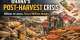 From Food Glut to Food Security: Solving Ghanas Post-Harvest Loss Crisis