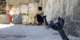 Syria slams new Israeli incursion in southern Daraa province
