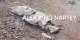 Flood victim found dead along Alajo Railway track as rescue operations continue