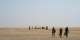 Nearly 50 die of thirst in Niger after truck breaks down in remote Sahara desert