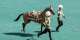 Turkmenistans heavenly Akhal-Teke horses celebrated in annual beauty pageants