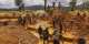 Govts implementation of Responsible Cooperative Mining Scheme lagging — Africa Policy Lens