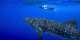 France moves closer to ocean goals with three new marine protection zones