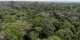 Rescued orphaned elephant highlights Nigerias conservation fight