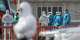 US, French nationals from hantavirus ship test positive