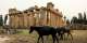 In east Libya, archaeologists fight to save breathtaking ancient Greek ruins
