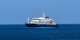 Low risk to public of hantavirus after cruise ship deaths, WHO says