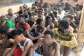 Police arrest 41 suspects in Lapaz andChantan narcotics operation