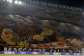 EPAImage caption: Paris St-Germain have started their Champions League defence with three wins