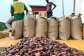 Cocoa prices to decline by over 50% globally in 2026 – World Bank