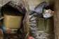 1,400 rounds of ammunition hidden in hen coop retrieved in Bolgatanga