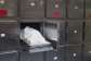 Two mortuary security guards die hours apart on duty in Suhum