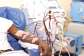 Minority demands reversal of dialysis fee hike