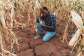 Extreme heat is a growing threat to health, jobs and food security in southern Africa – study looks for practical solutions