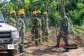 Military clearing lands for Accra€“Kumasi expressway project
