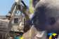 “Unless they kill me today” — 70-Year old man breaks down after demolition at Sakumono ramsar site
