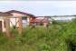 Snakes, weeds take over multi-million 1D1F starch factory at Kyekyewere inAssinSouth
