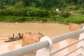 TwifoPrasoPraRivercommutersappeal for govt intervention to stopgalamsey