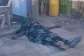 Man collapses and dies in front of pharmacy at Abura in Cape Coast