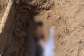 Grave atAdevukopecemeteryreportedly desecrated, body of 67-year-old woman stolen