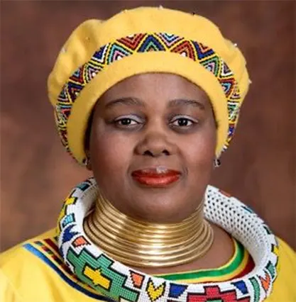 South African artistes African gigs cancelled amid xenophobic crackdown