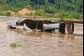 VIDEO: Watch the only community toilet carried away by floods