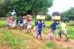 World Bank approves US$300 million to support phase out of SHS double track system