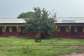 Bat invasion blocks Kamalo D/A JHS from using new classroom block